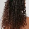 Frog Claw Hair Clip