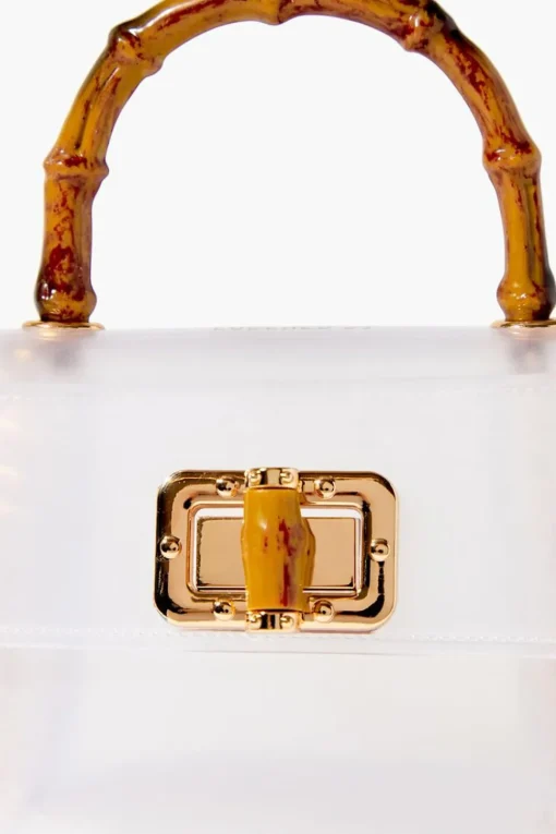 Transparent Mini Crossbody Bag